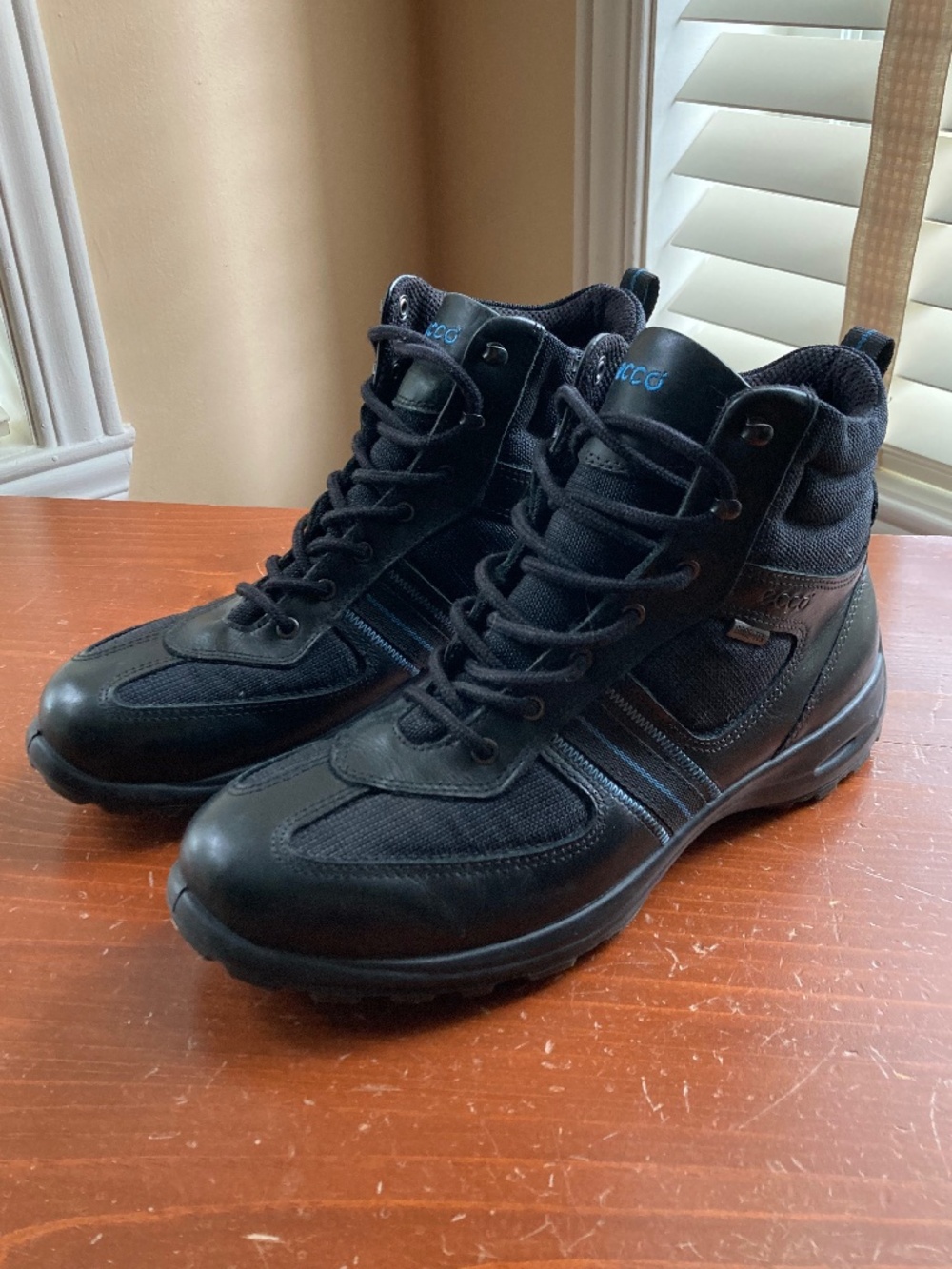 Ecco hiking boots for women (39 / 8)